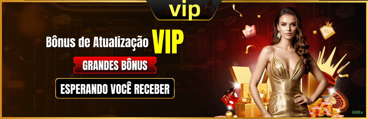 Suporte VIP 688x - atendimento prioritário